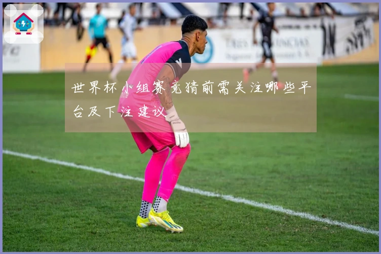 世界杯小组赛竞猜前需关注哪些平台及下注建议