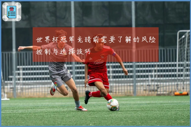 世界杯冠军竞猜前需要了解的风险控制与选择技巧