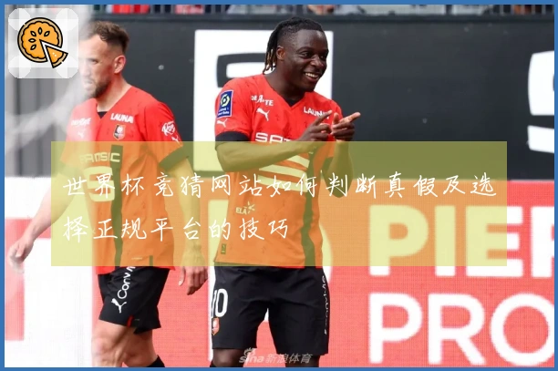 世界杯竞猜网站如何判断真假及选择正规平台的技巧
