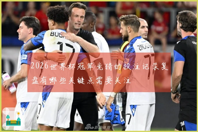 2026世界杯冠军竞猜的投注记录复盘有哪些关键点需要关注